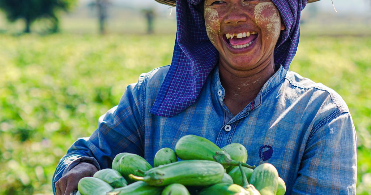 Global Innovation Fund photo